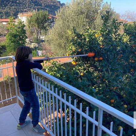 La Terrazza Family Holidays - Sorrento Coast Sant'Agnello Ngoại thất bức ảnh