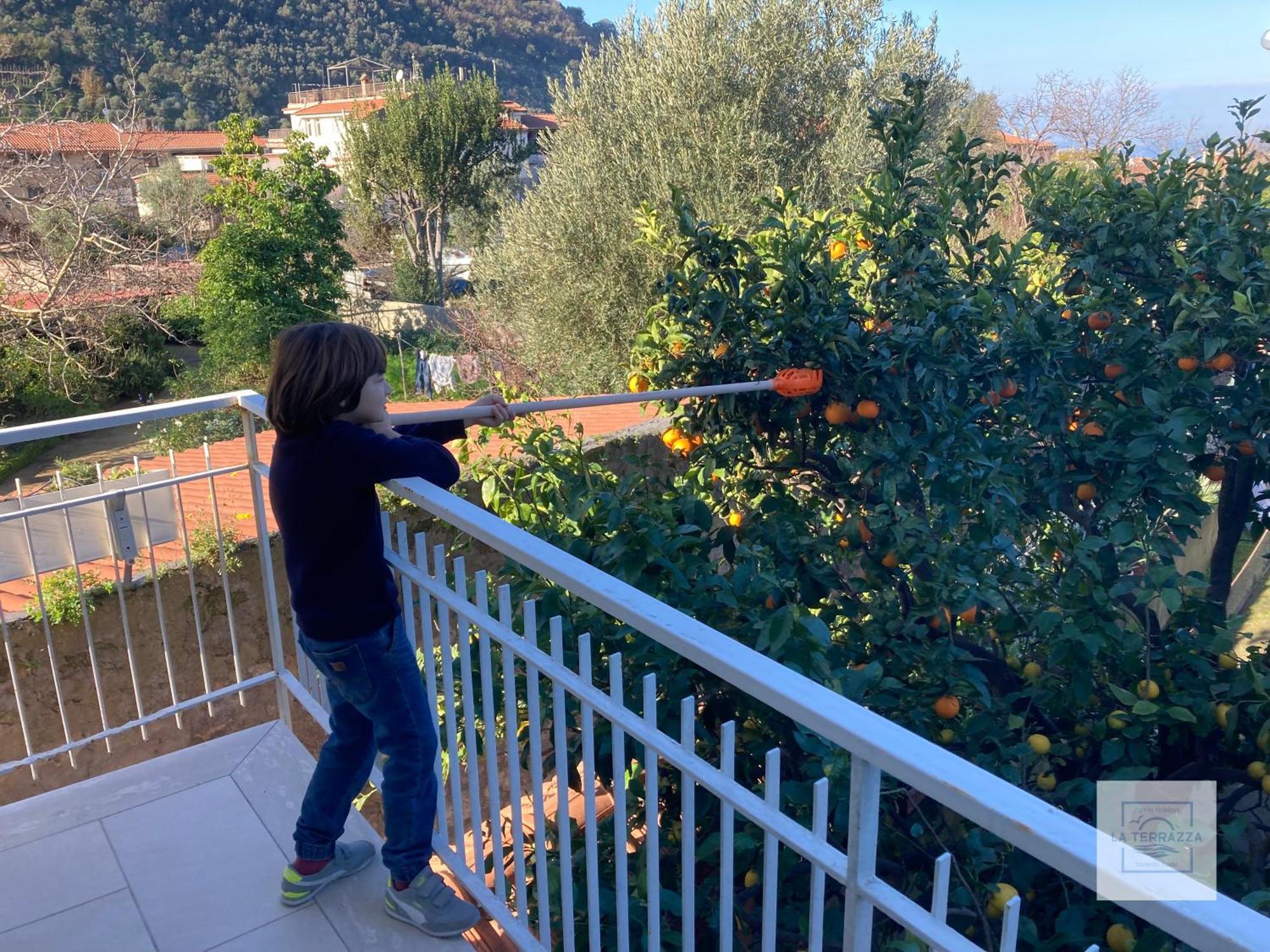 La Terrazza Family Holidays - Sorrento Coast Sant'Agnello Ngoại thất bức ảnh